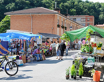 Mercado semanal en Riosa: todos los martes. 