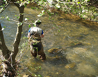 Trout fishing in the river at 100 m.
